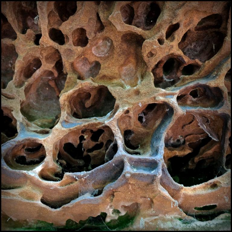 DSCF0850.JPG