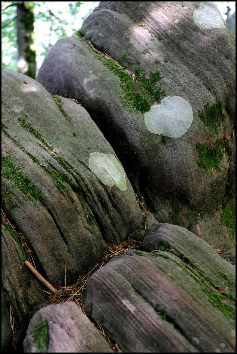 DSCF0882.JPG
